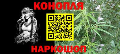 крисы Кимры
