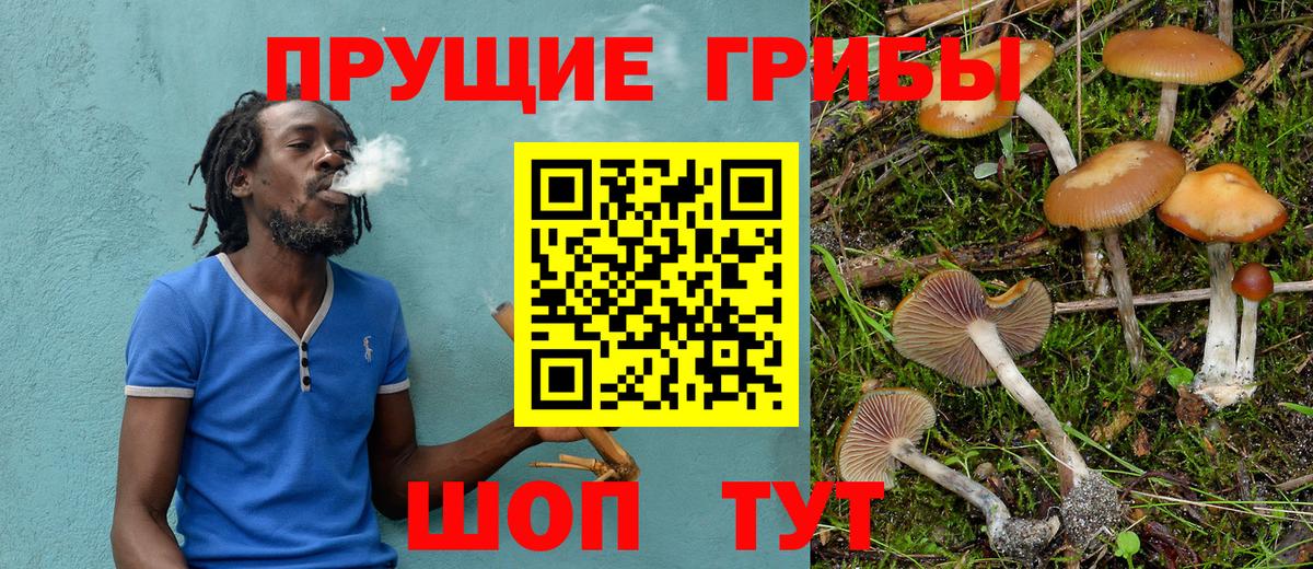 Псилоцибиновые грибы прущие грибы Кыштым