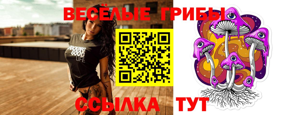 Галлюциногенные грибы мицелий  Псилоцибиновые грибы Cubensis  Вход с VPN  Кыштым 